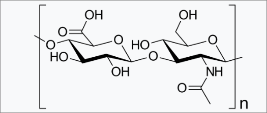 하알루론산 분자구조