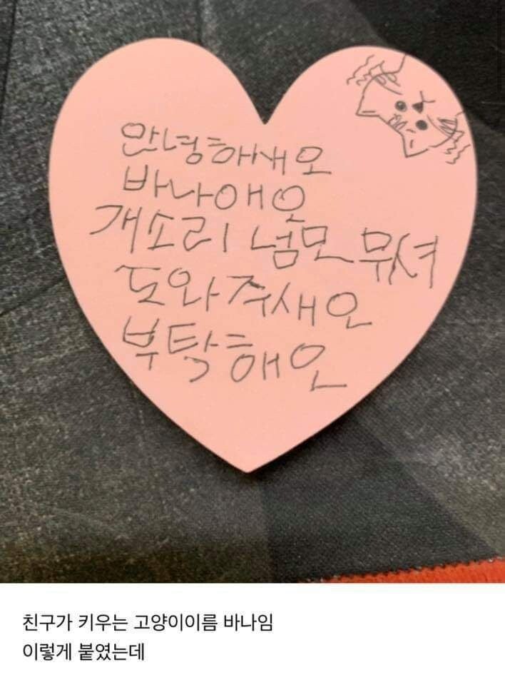   뚜뚜월드