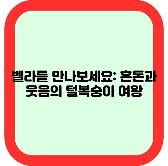 벨라를 만나보세요: 혼돈과 웃음의 털복숭이 여왕