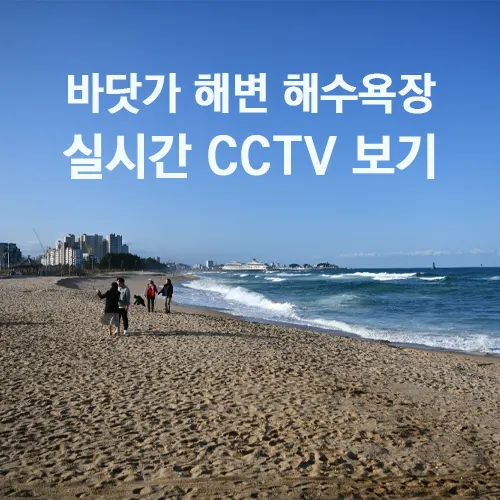 전국 해변 바닷가 해수욕장 CCTV 실시간 보기