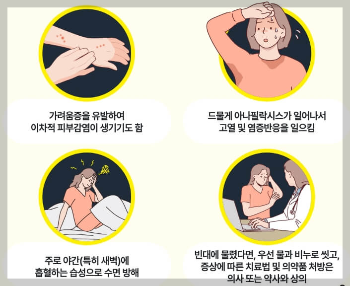 빈대 예방법과 퇴치법