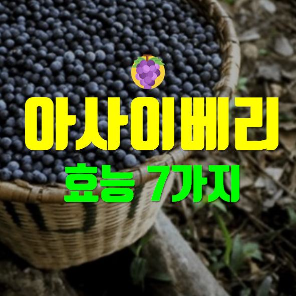  아사이베리 효능 다이어트에 좋다니