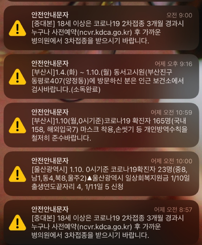 재난문자
