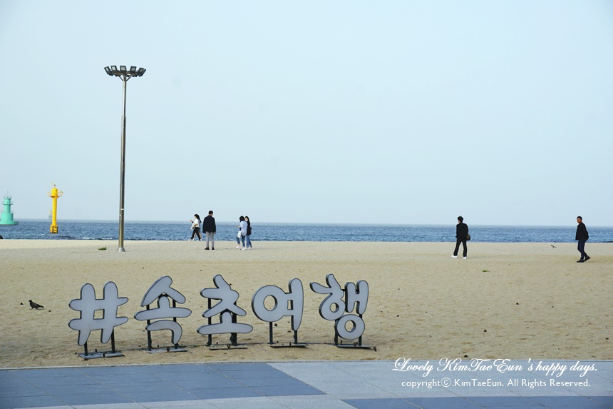 속초 팜파스리조트 강원도 숙소 추천 13