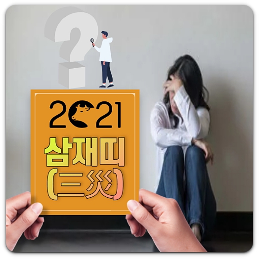 2021년 삼재띠, 날삼재 띠 조심해야 하는 것들!! 2021년 삼재띠, 날삼재 띠 조심해야 하는 것들!!