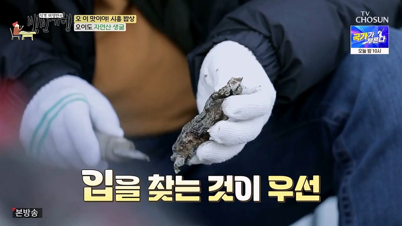 식객 허영만의 백반기행.E190.230225p-NEXT.mp4_20230225_172323.176.jpg