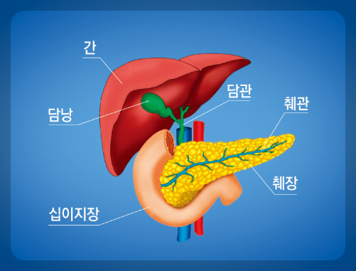 췌장에 좋은 음식