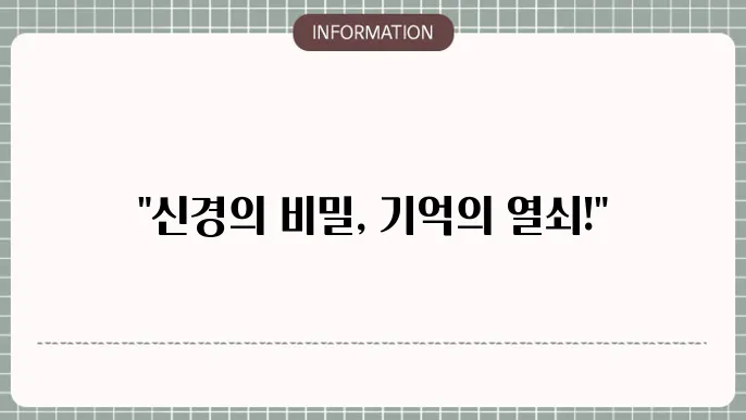 시냅스 가소성  (Synaptic Plasticity)