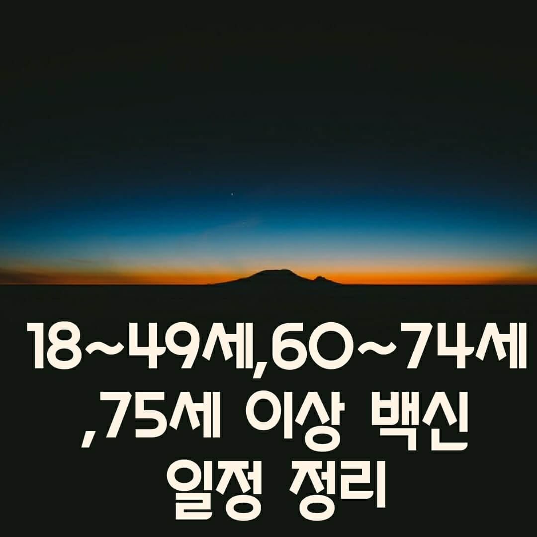  18~49세, 60~74세, 75세 이상 미접종자 백신예약, 일정 한눈에!