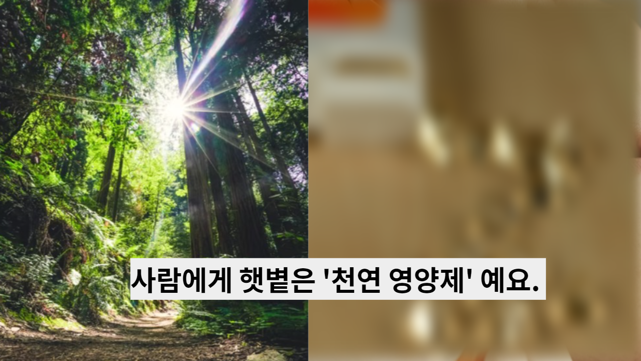  하루 햇볕을 쐬지 않으면 생기는 건강이상 신호