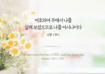 마가복음 15장 예수님의 헌신_13