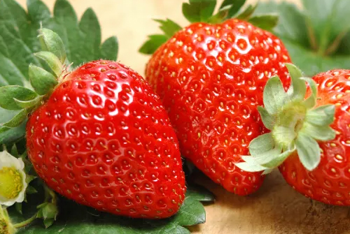 당뇨에좋은과일 딸기