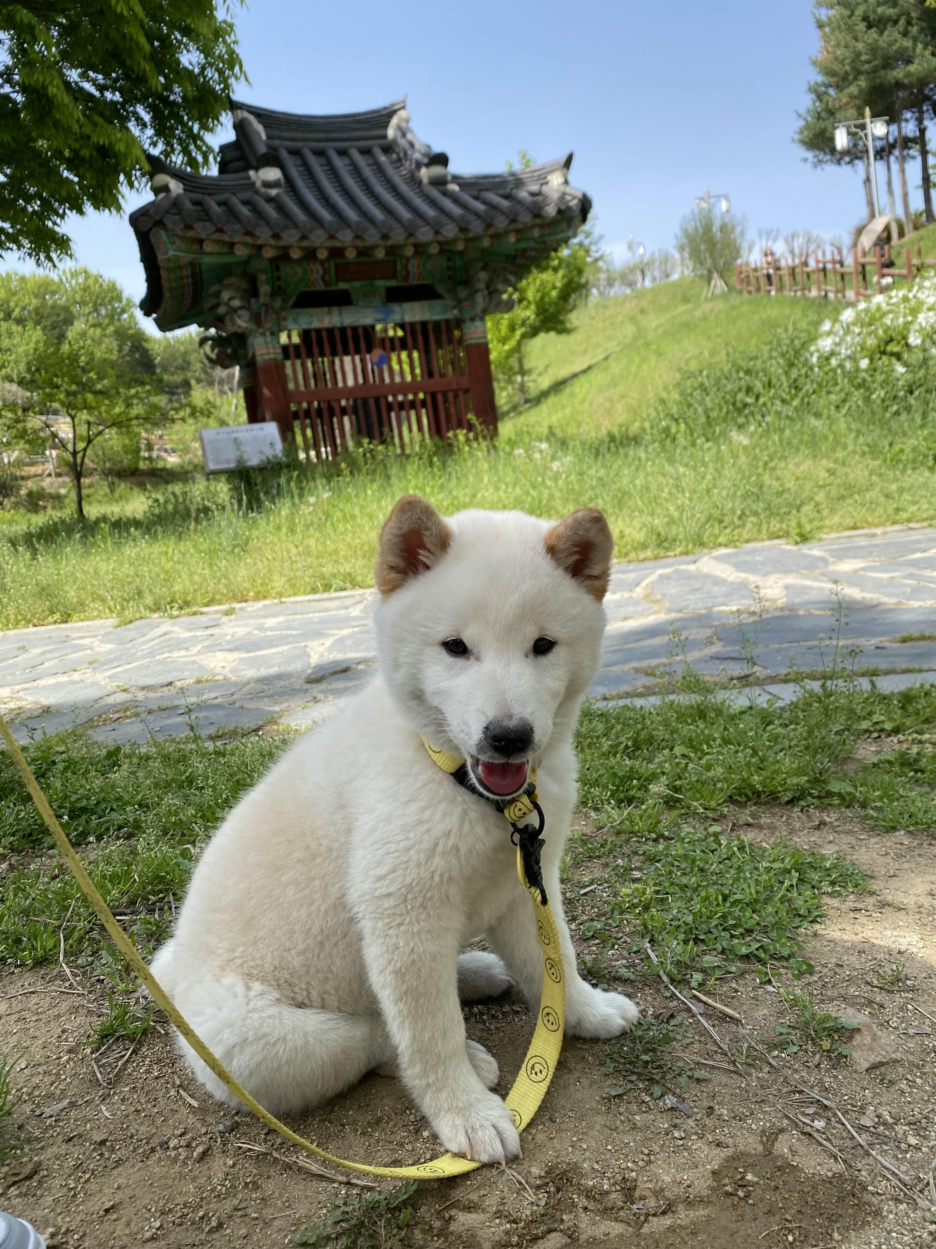 alt 태그