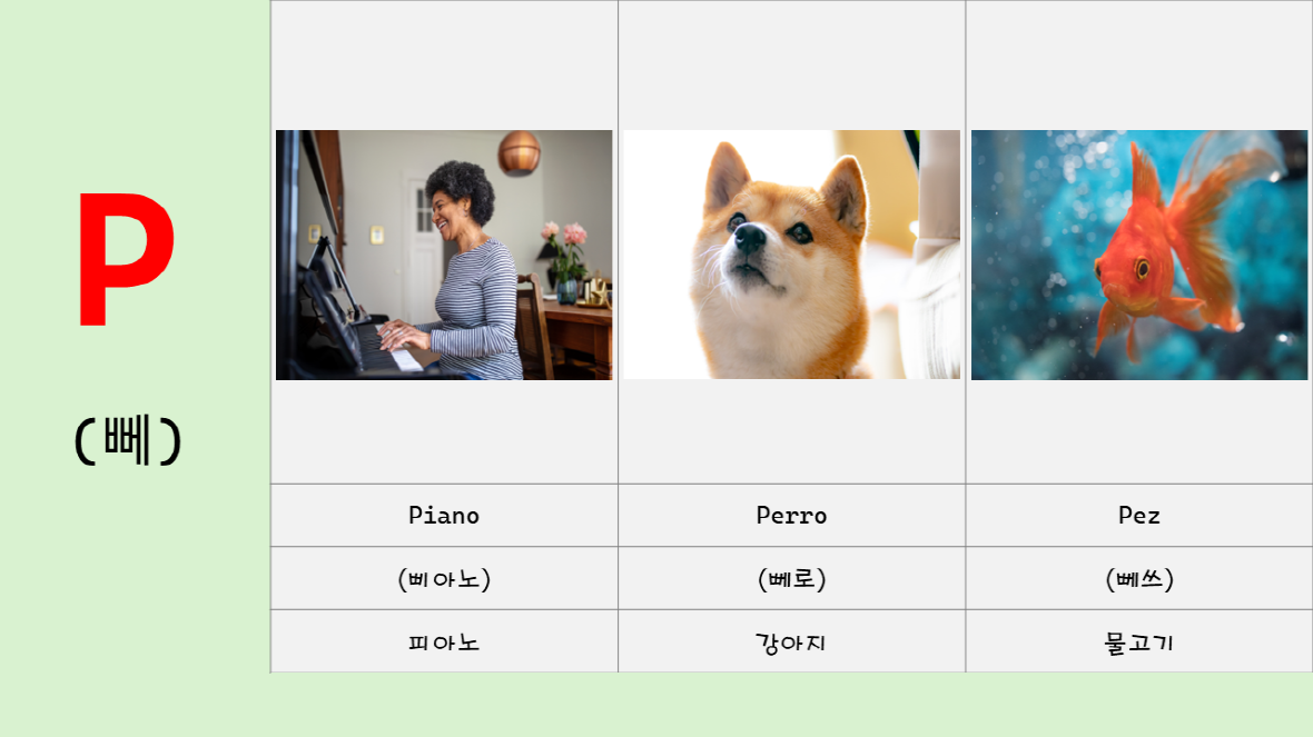 Piano, Perro, Pez
삐아노, 뻬로, 뻬쓰
피아노, 강아지, 물고기
