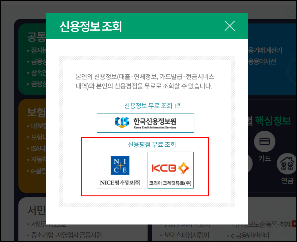 신용평점-금융감독원-파인