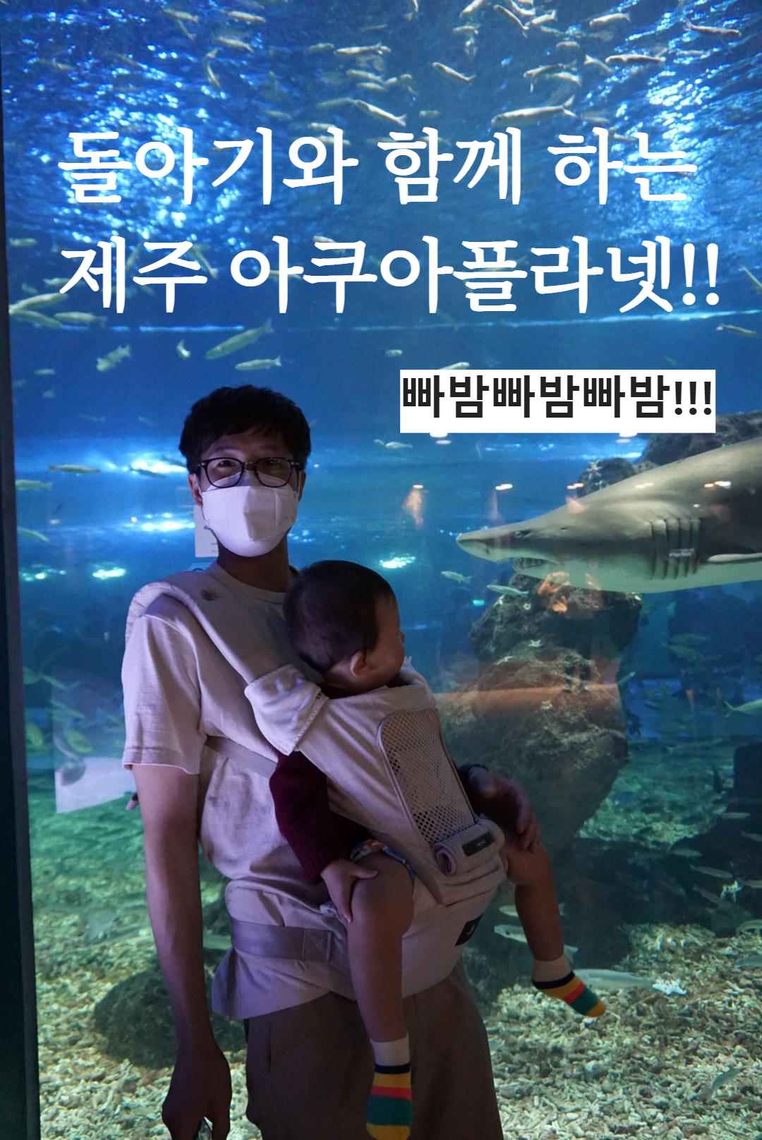  [여름이와 함께 한 첫 제주여행] 아쿠아플라넷