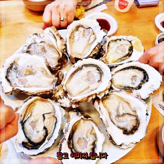  생방송오늘저녁 재첩정식 하동 화개장터 옥화주막 맛집 옆집부자의비밀노트 더덕구이, 빙어튀김, 재첩국, 재첩회무침 한정식 백반 소개 참게탕 벚굴 가격 위치 어디