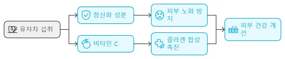 유자차 피부미용 효과