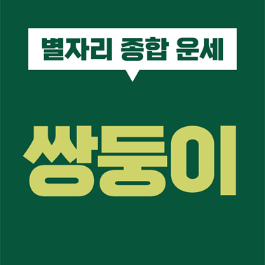  [별자리 종합 운세] 쌍둥이자리 성격, 심리, 기질, 직업, 재물, 금전, 사랑, 연애, 궁합