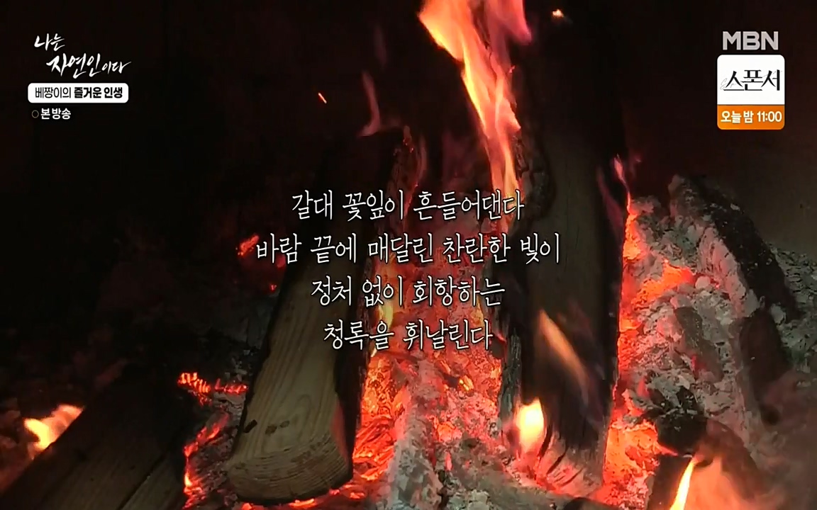 나는 자연인이다.E495.220331p-NEXT.mp4_20220331_173658.052.jpg