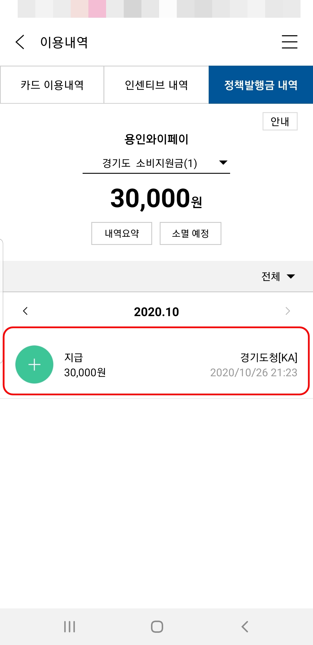 경기지역화폐 소비지원금 지급 완료 (3만원 입금) 경기지역화폐 소비지원금 지급 완료 (3만원 입금)