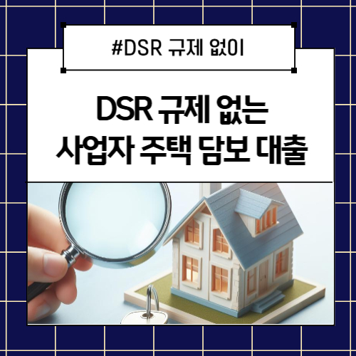 DSR규제없이