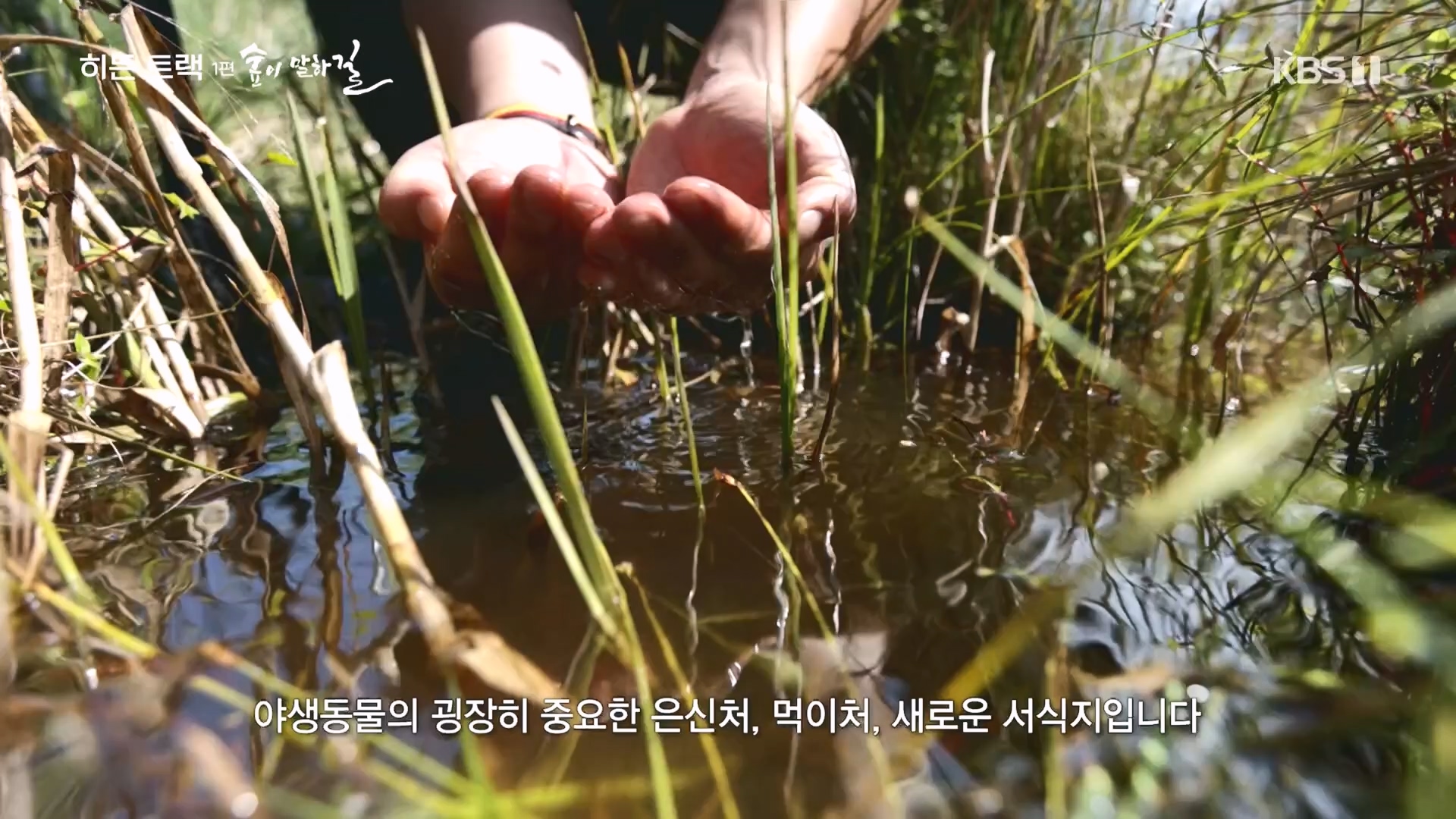 다큐 인사이트.E176.231214p.H264-F1RST.mp4_20231215_205447.281.jpg