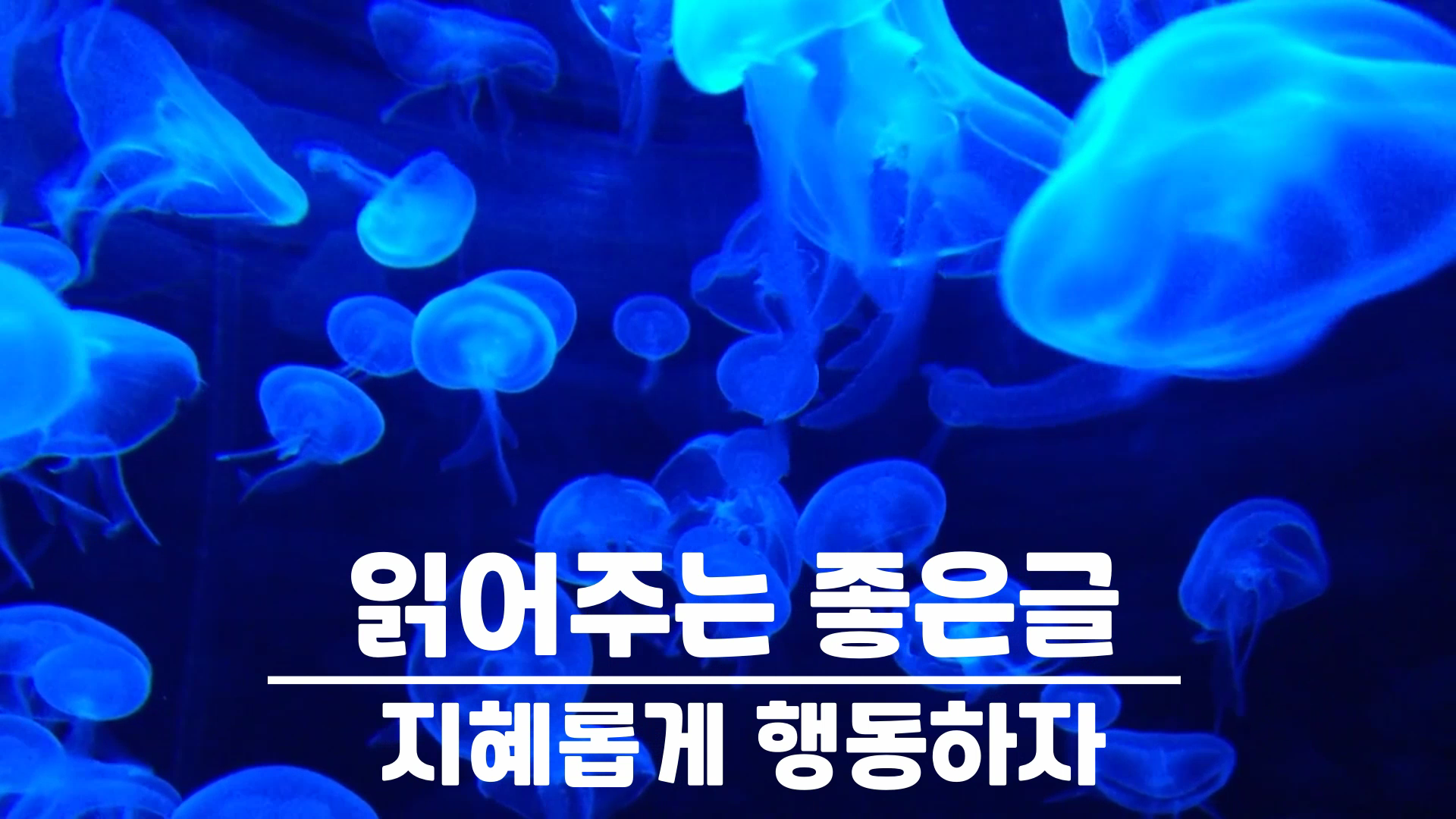 지혜롭게 행동하자