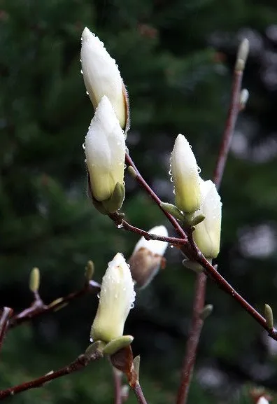 경남 남해