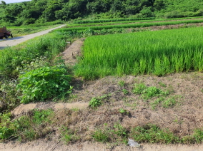 장흥지원2022타경481 부동산표시 5번 전경