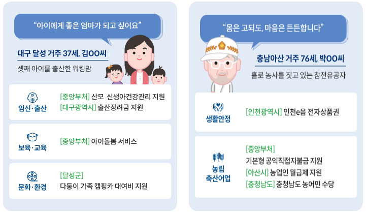 정부 보조금