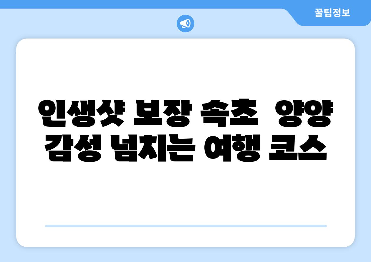 인생샷 보장 속초 양양 감성 넘치는 여행 코스