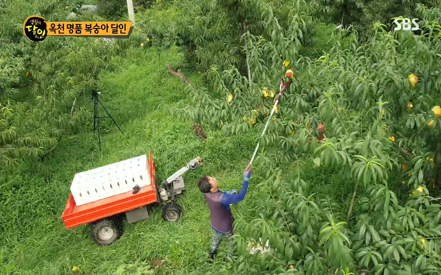 생활의 달인.E856.220815p.H264-F1RST.mp4_20220816_203844.055.jpg