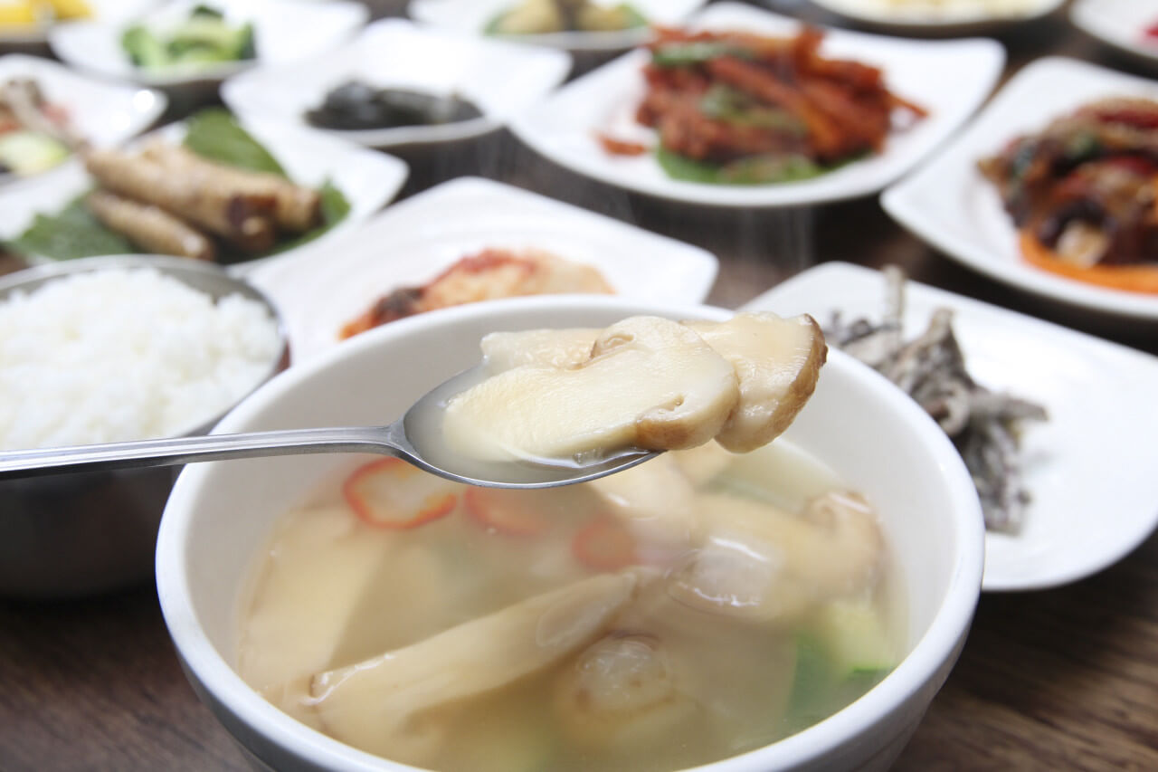 6시 내고향 경남 합천 가야면 산채 밥상 맛집 삼일식당 
