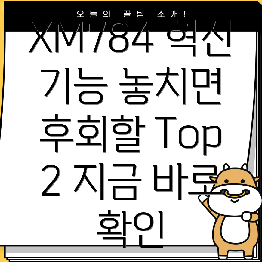 엑스엠784놓치면후회할혁신적인기능Top2분석