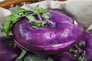 콜라비