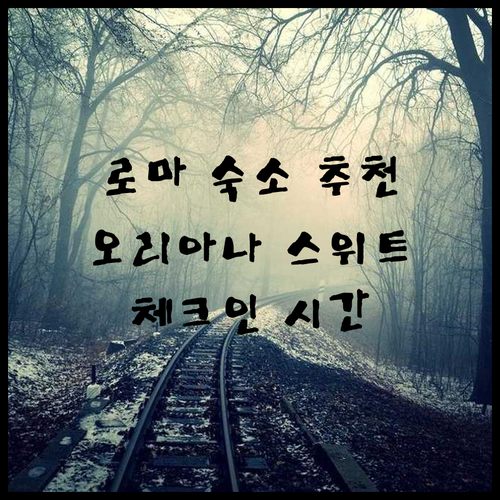 로마 숙소 추천 오리아나 스위트 체크