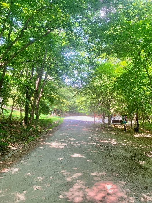 선운산-등산코스
