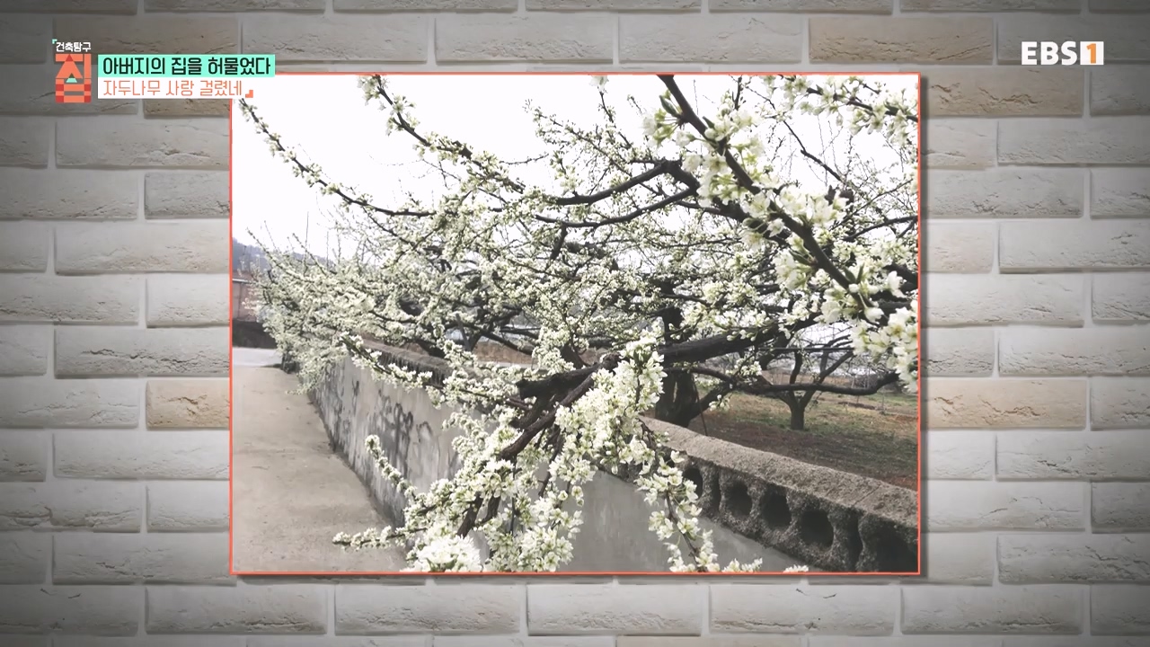 TV - 전 국민의 평생학교 EBS아버지의 집을 허물었다.mp4_20231019_204249.698.jpg