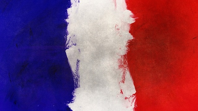프랑스 국기 사진입니다.