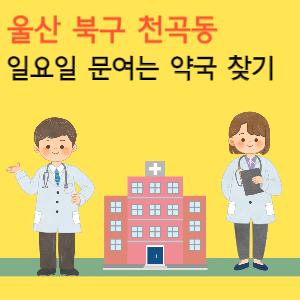 울산 천곡동 일요일 문여는 약국 찾기