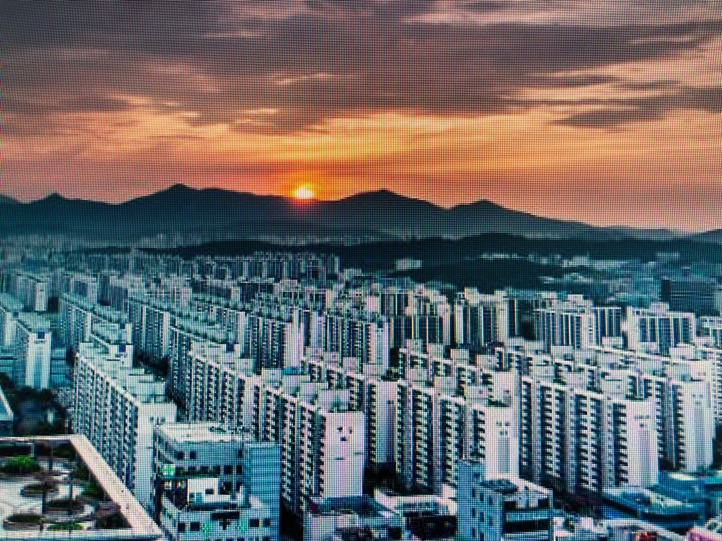 이번 여름휴가를 추천합니다 1