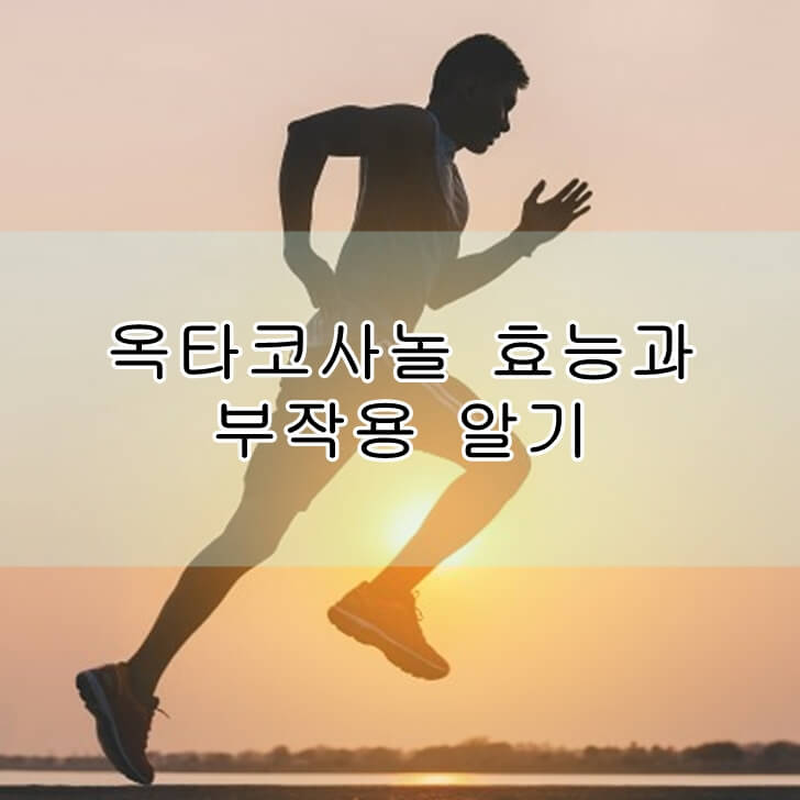 옥타코사놀효능