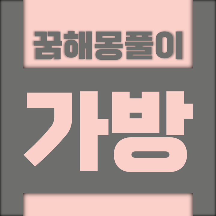  [꿈해몽풀이] 가방 꿈해몽 모음