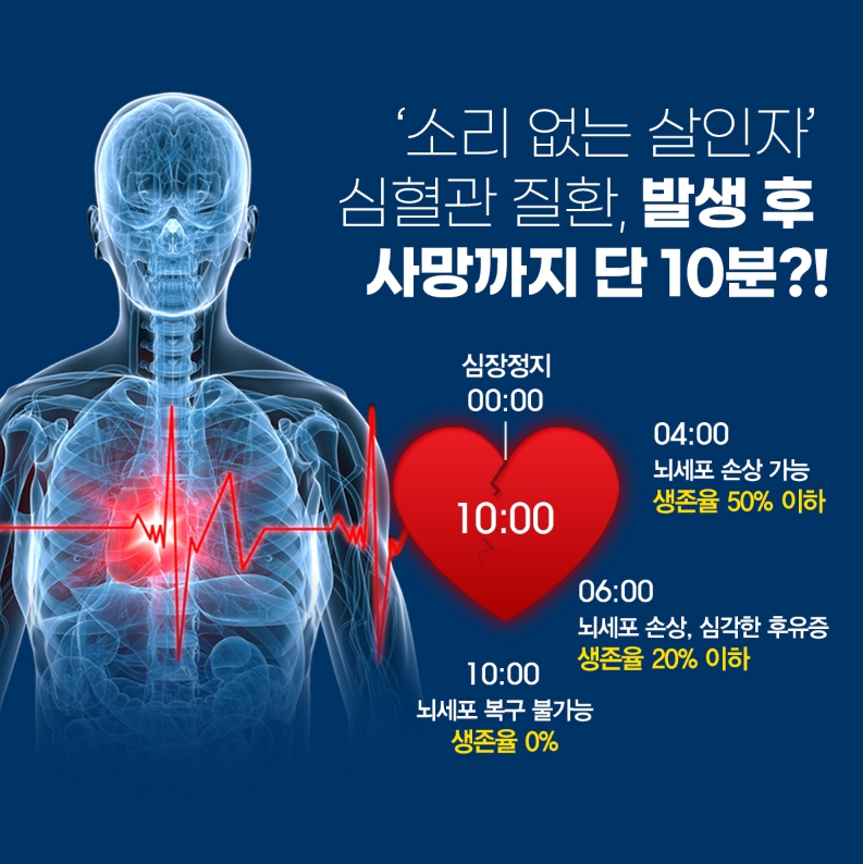 BPA에 의한 호르몬 이상 및 심혈관 건강 영향을 표현한 인체 그림