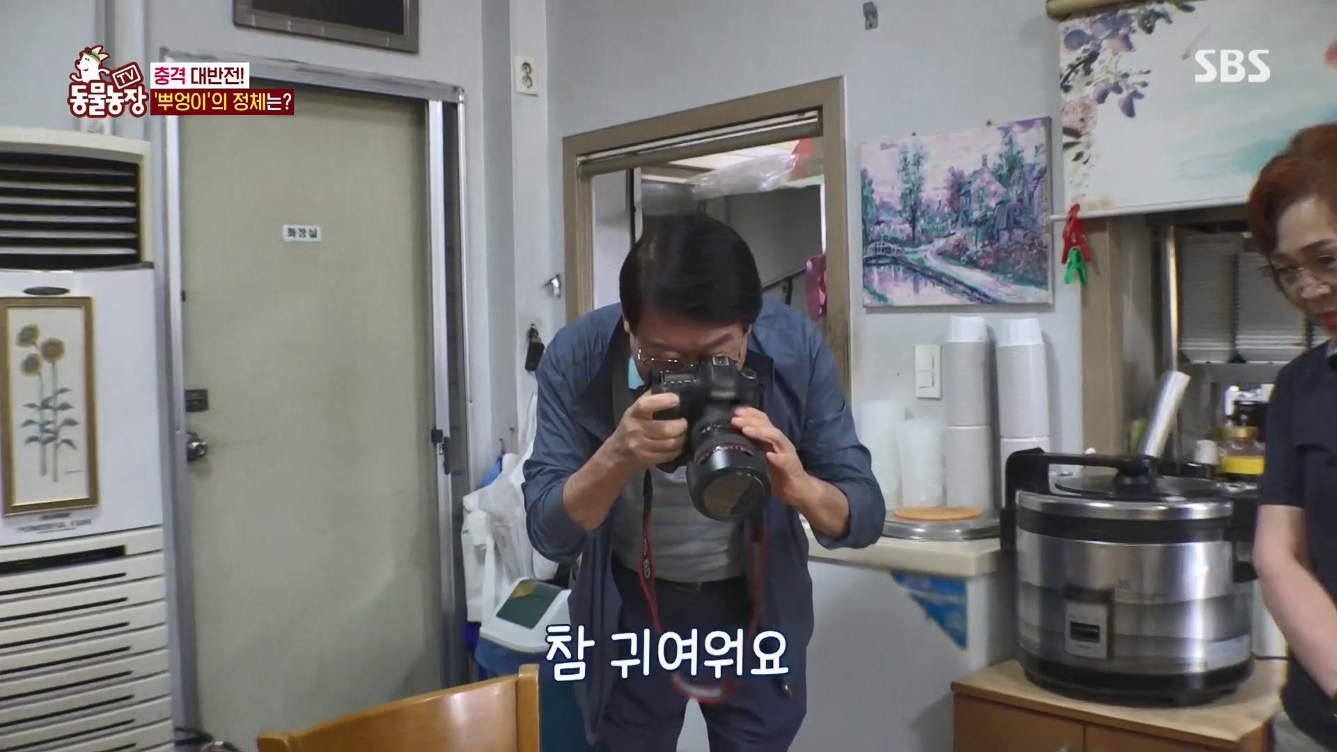 TV 동물농장.E1139.230924p.H264-F1RST.mp4_20230924_170516.352.jpg