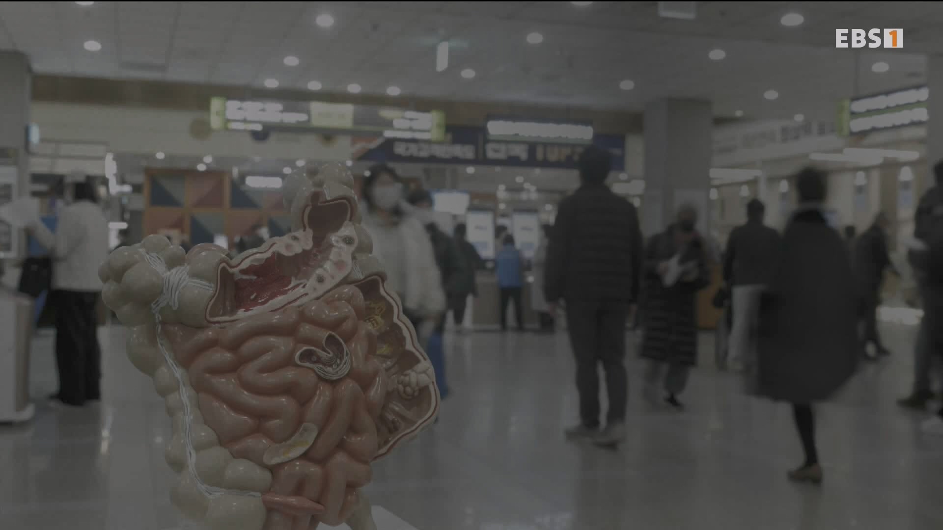 잘 먹고 잘 싸는 법 240323.mp4_20240324_174710.066.jpg