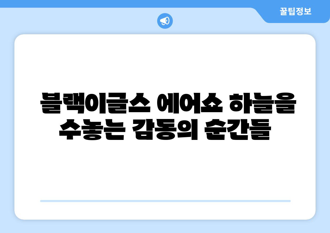 블랙이글스 에어쇼 하늘을 수놓는 감동의 순간들