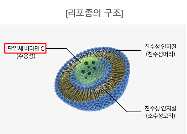  리포좀 비타민C 효능 비타민 차이점, 추천 제품 부작용