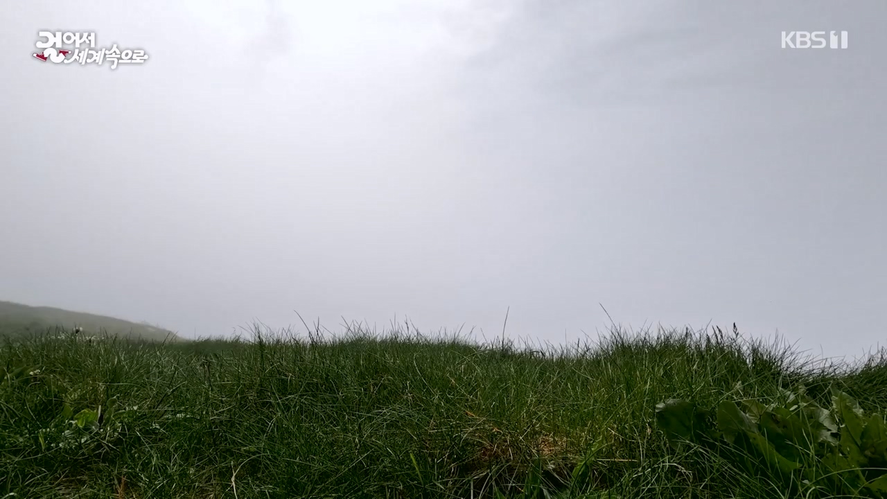 걸어서 세계속으로.E803.230730p-NEXT.mp4_20230805_134501.085.jpg